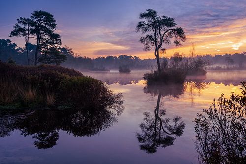 Neblige Front Goorven