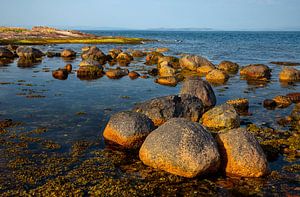 Küste der schottischen Insel Arran - 1