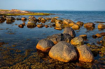 Coast of Scottish Island Arran - 1 by Adelheid Smitt