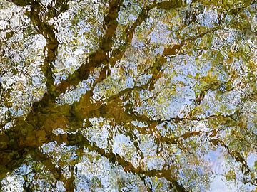 Reflectie van een lente boom in het water van Sjaak den Breeje