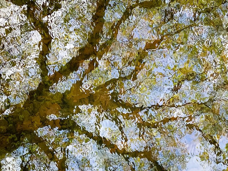 Reflection of a spring tree in the water by Sjaak den Breeje