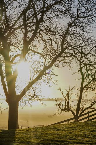 Landscape on a misty morning 2