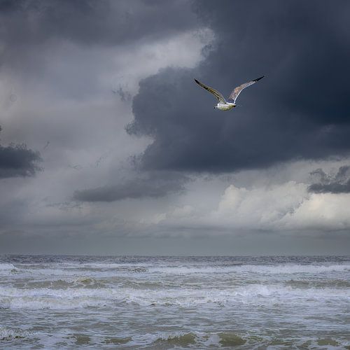 Le calme avant la tempête