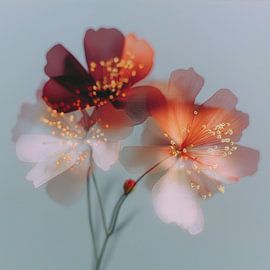 Subtle Orange Echoes 2 by Olaf Kramer