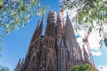 La Sagrada Familia, Barcelona van Wouter Kouwenberg