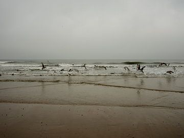 Das Meer und die Möwen an einem bewölkten Tag von Yuri Keukens