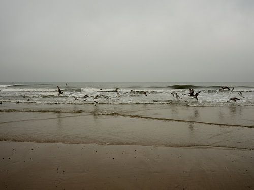 The sea and seagulls on a cloudy day