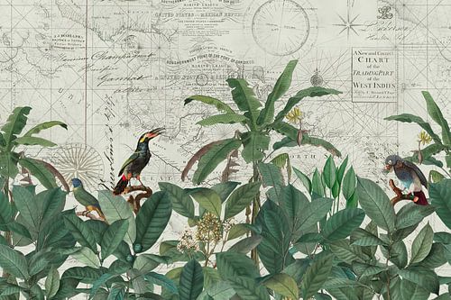 Ontdek de vintage wereld