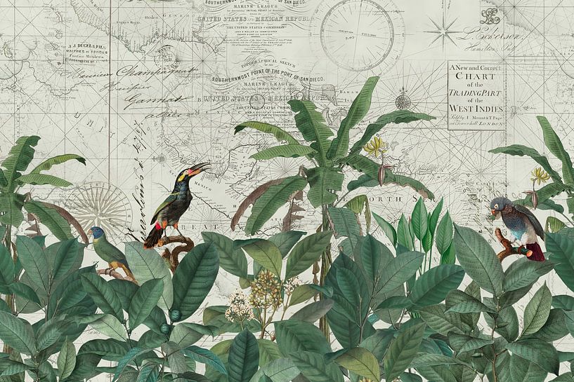 Discover The Vintage World von Andrea Haase