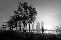 Manhattan sur la Meuse