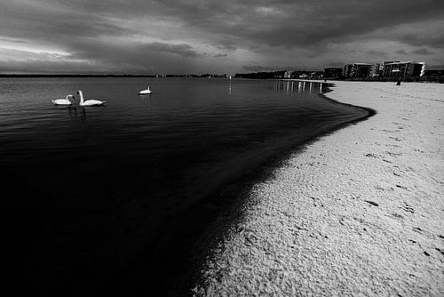 Zeewolde Flevoland van Robinotof