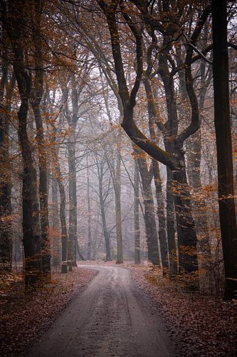 Domaine de la Couronne Het Loo