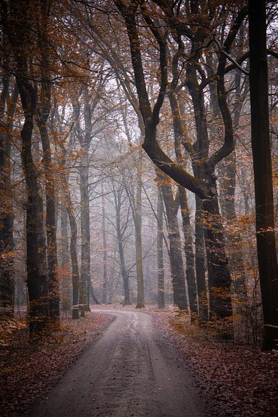 Kroondomein het Loo van Samantha Rorijs