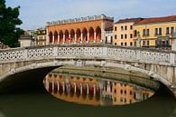 Brug in Padua van Michel van Kooten thumbnail