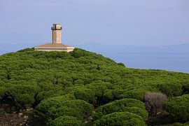 Light house Giglio Italy