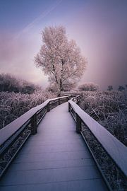 Winter atmosphere by Steffen Peters