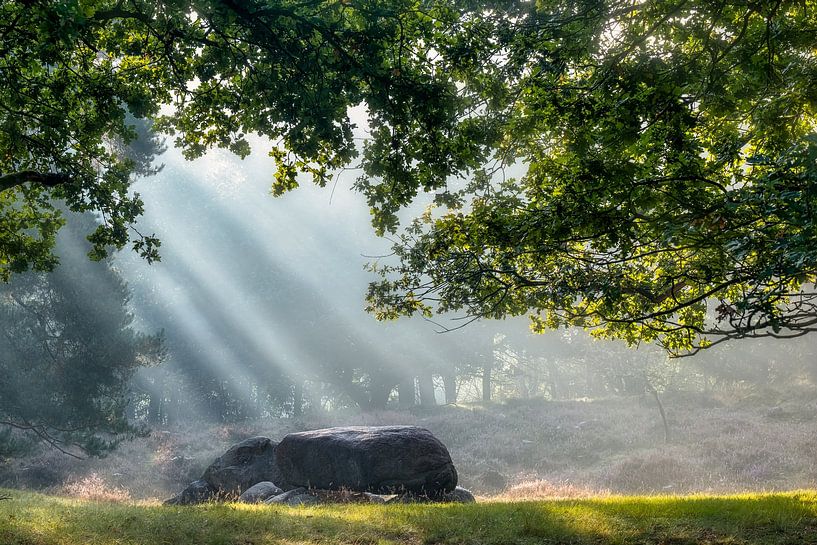 Solar harp above hunebed by Jurjen Veerman