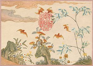 Chauves-souris, rochers, fleurs calligraphie ovale (18ème siècle) peinture de Zhang sur Studio POPPY