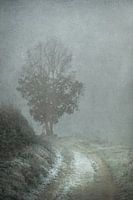Winter greys