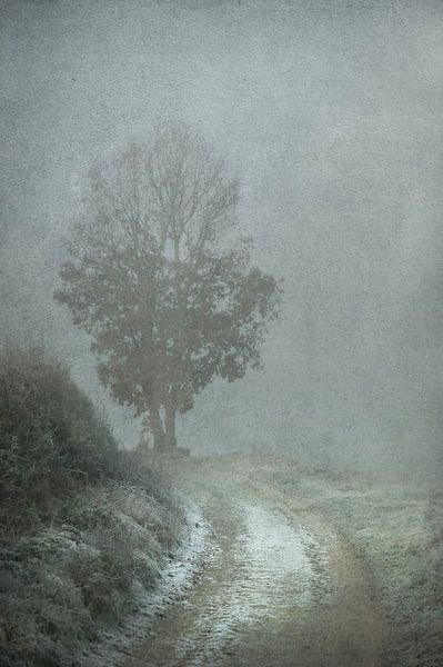 Winter greys by Dan Courtice
