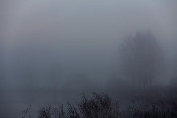 Friesland in de mist aan de Tjonger van Rene  den Engelsman