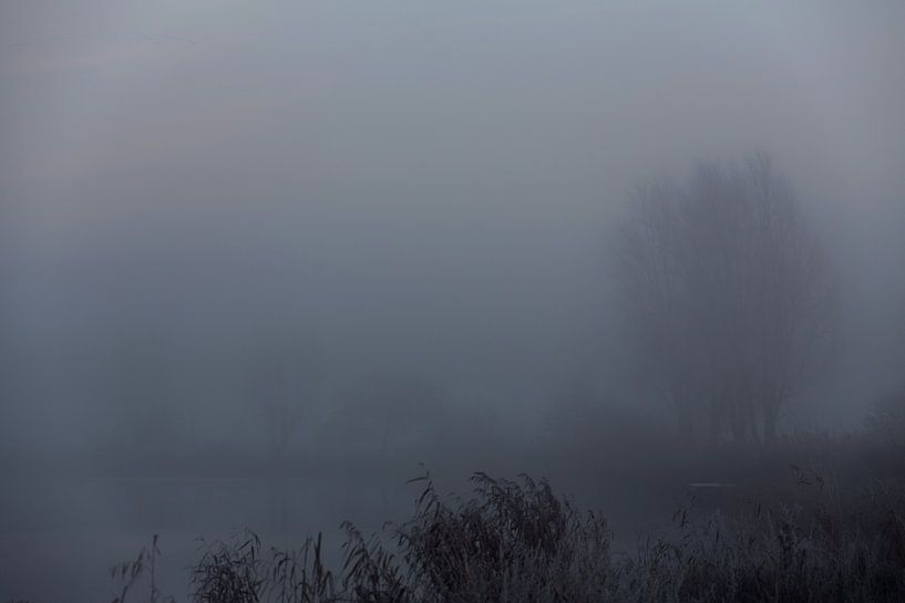 Friesland in the fog on the Tjonger by Rene  den Engelsman