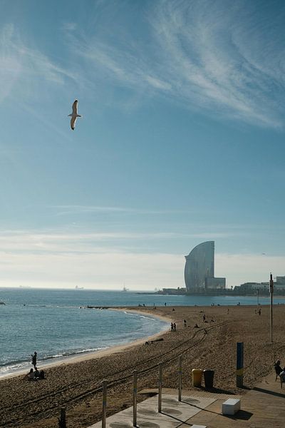 Barcelona by Hello Pompoyo