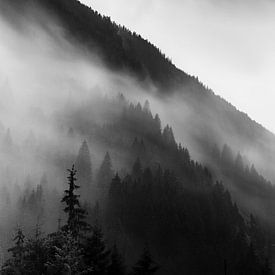 Pluie dans les Alpes en noir et blanc sur Hidde Hageman