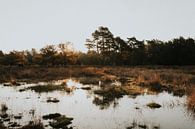 Drenthe Landscape Holland by Mieke Broer thumbnail