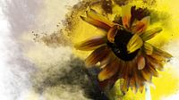 Sonnenblume von Harry Stok Miniaturansicht