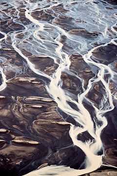 River Veins 2 van Marianne Kiefer PHOTOGRAPHY