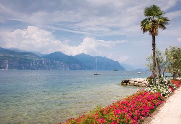 Uferpromenade am Gardasee von ManfredFotos