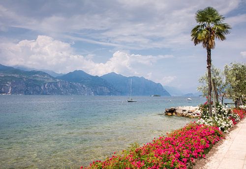 Promenade au bord du lac de Garde