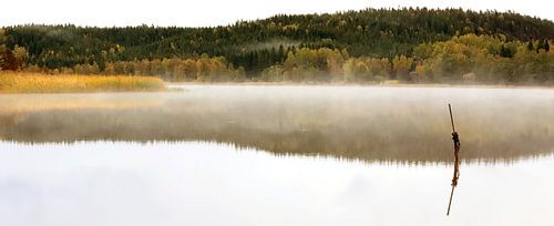 Nebelsee in Schweden