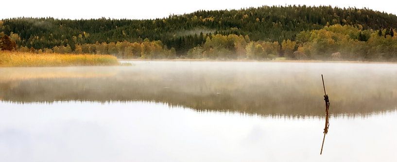Nebelsee in Schweden von Heike Hultsch