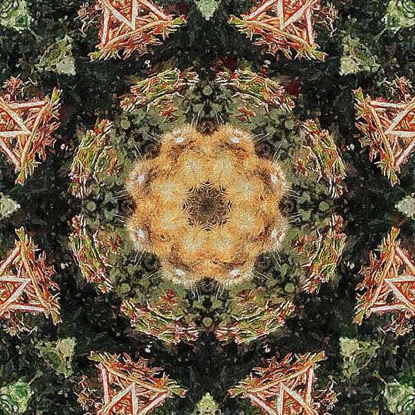 Dog Fur Kaleidoscope 2 by Dorothy Berry-Lound