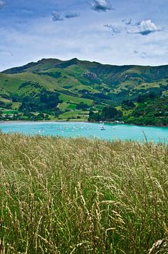 Banks Peninsula-French Farm Bay - Nieuw Zeeland by Ricardo Bouman Photography