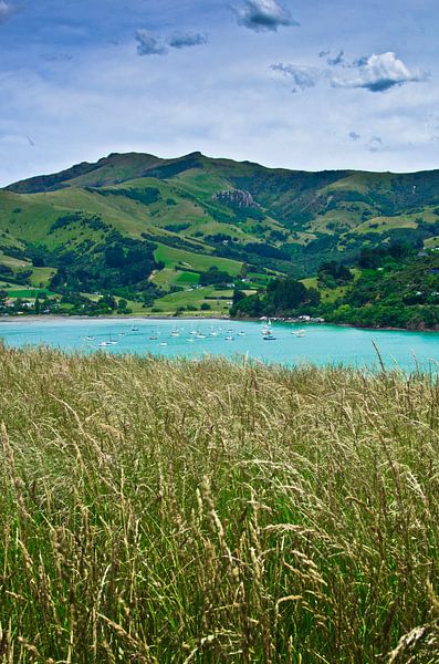 Banks Peninsula - French Farm Bay - Nieuw Zeeland van Ricardo Bouman