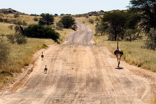 Dans le monde entier