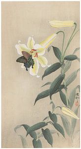 Ohara Koson - Spangle und Lilie (bearbeitet)