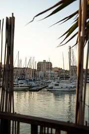 Port de Syracuse sur Michelle van Merrienboer