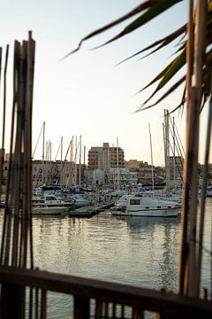Port of Syracuse by Michelle van Merrienboer