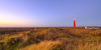 Schiermonnikoog landschap in de duinen met de vuurtoren