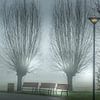 Bancs dans le brouillard sur Els F.