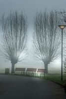 Bancs dans le brouillard