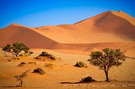 Sossusvlei Namibia by Antwan Janssen thumbnail