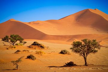 Sossusvlei Namibia by Antwan Janssen
