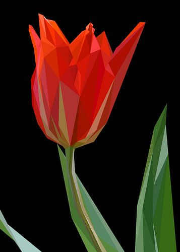 Rode Tulp Bloem Abstract Laagpolig