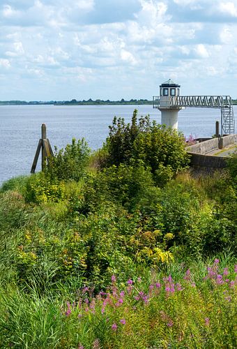 Peilschaal Oostmahorn met wilde planten in de voorgrond&gt; portretstand