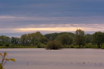 lake by Tania Perneel